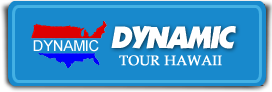 Dynamic Tour Hawaii